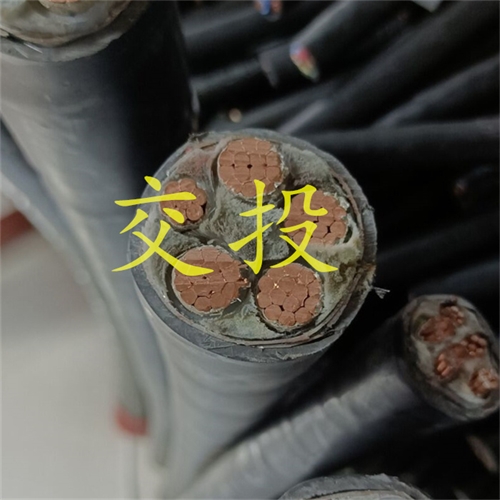 www.exmg.com.cn
