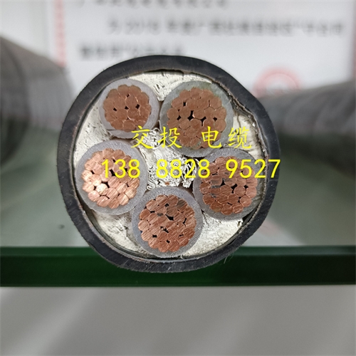 www.exmg.com.cn
