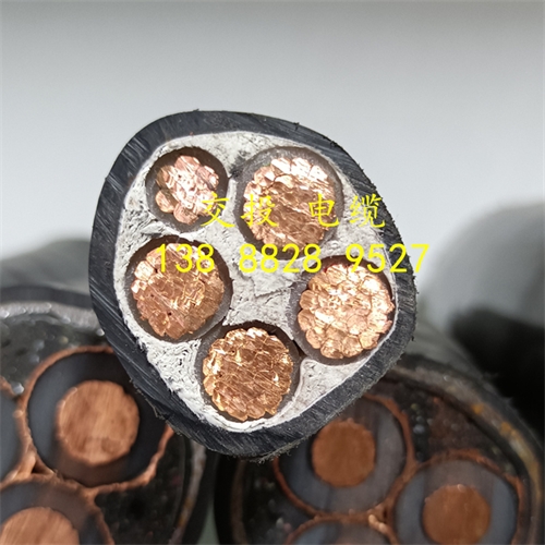 www.exmg.com.cn