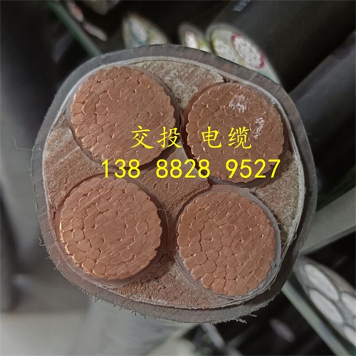 www.exmg.com.cn