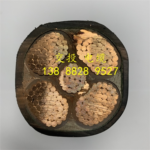 www.exmg.com.cn