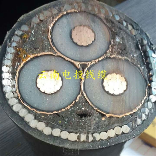 www.exmg.com.cn