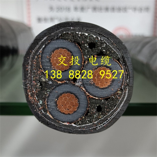 www.exmg.com.cn