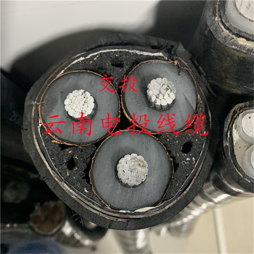 www.exmg.com.cn