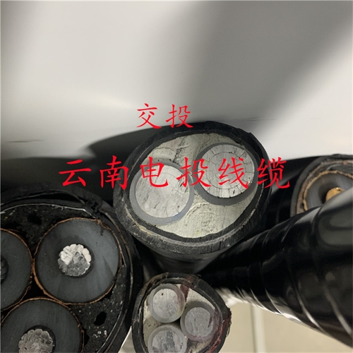 www.exmg.com.cn