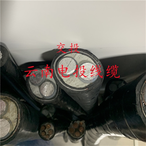 www.exmg.com.cn