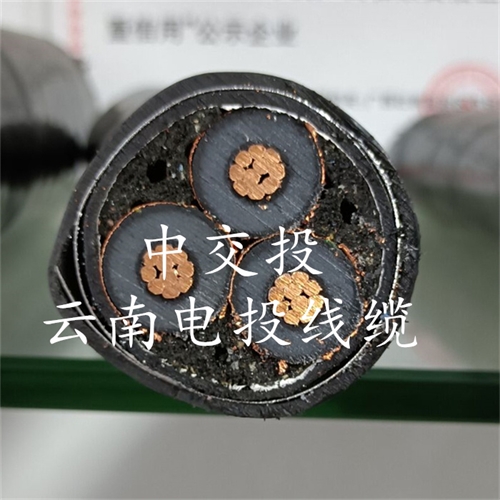 www.exmg.com.cn
