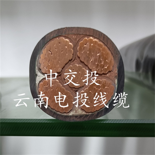 www.exmg.com.cn
