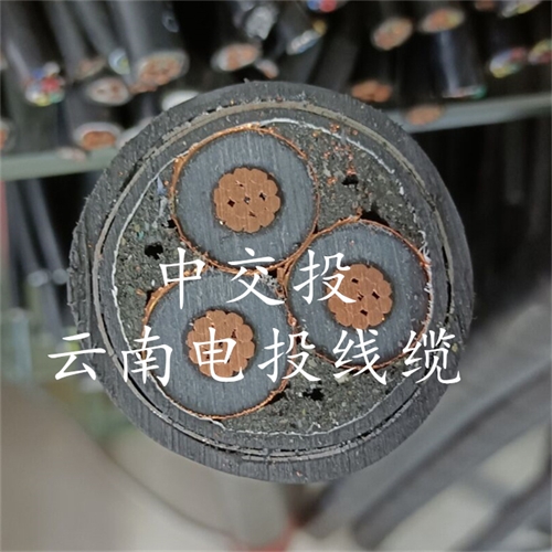 www.exmg.com.cn