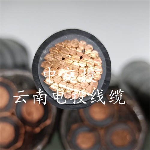 www.exmg.com.cn