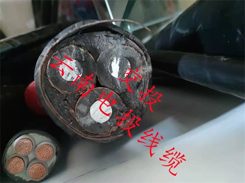 www.exmg.com.cn