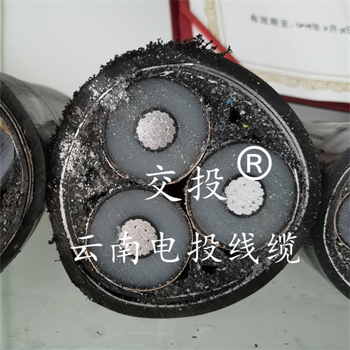 www.exmg.com.cn