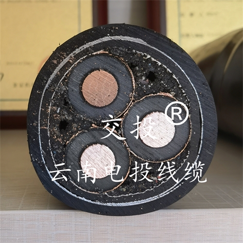 www.exmg.com.cn