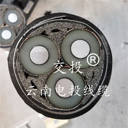 www.exmg.com.cn