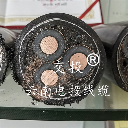 www.exmg.com.cn
