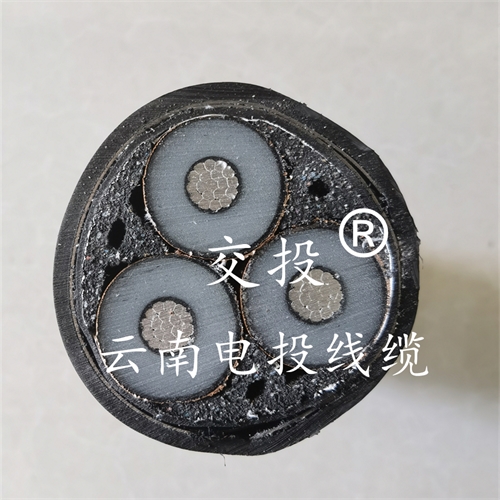 www.exmg.com.cn