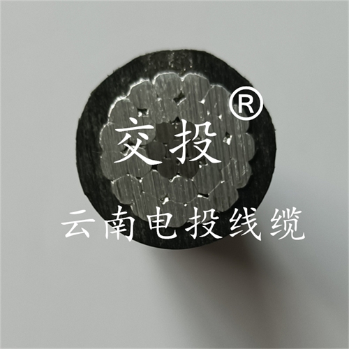 www.exmg.com.cn