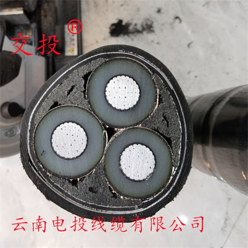 www.exmg.com.cn
