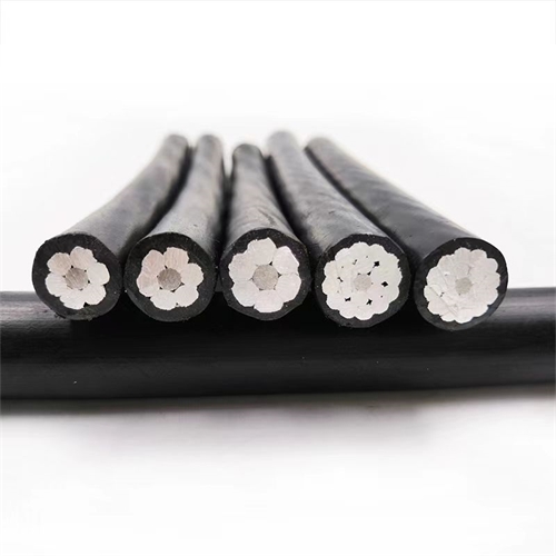 www.exmg.com.cn